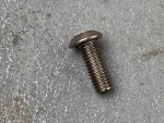 Torxschrauben TITAN mit Linsenkopf M3x6mm